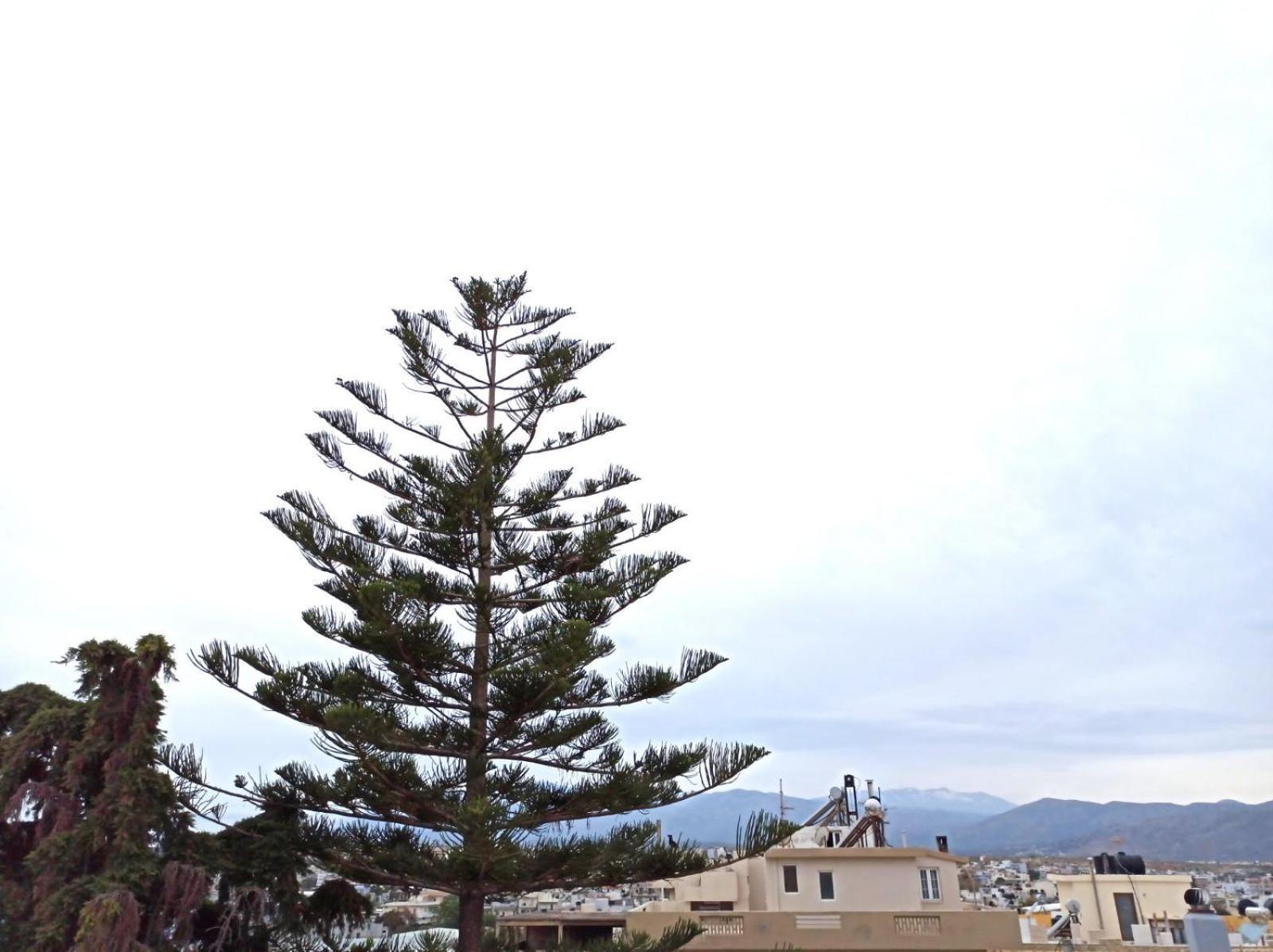 Renovated Loft Near The Center Apartment Heraklion  Bagian luar foto